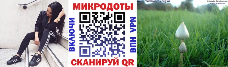 Псилоцибиновые грибы ЛСД  Купить закладки  Лангепас 